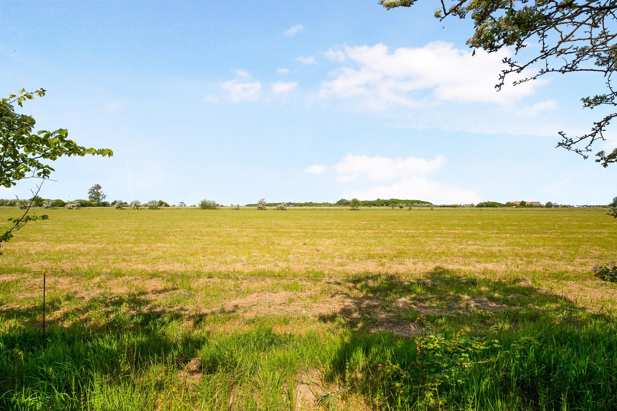 Degnevej 25, 6760 Ribe