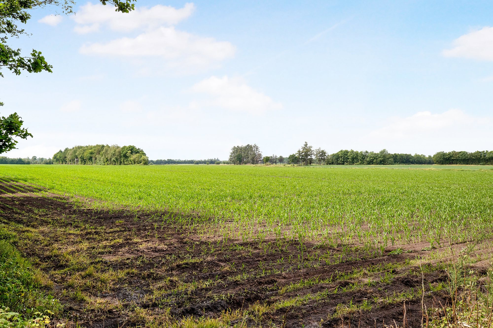Bakkevej 42, 6760 Ribe