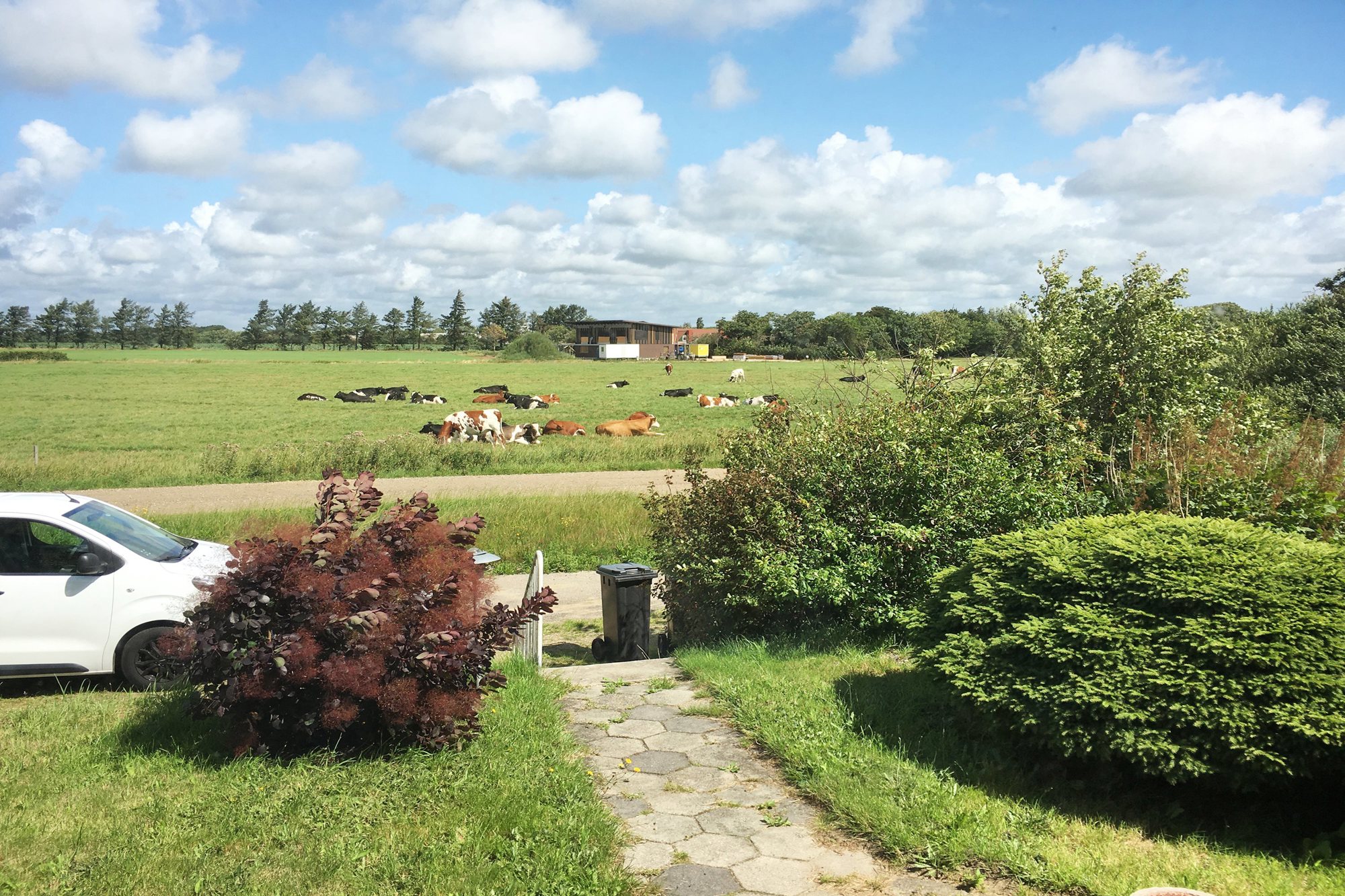 Skrænten 4, 6760 Ribe