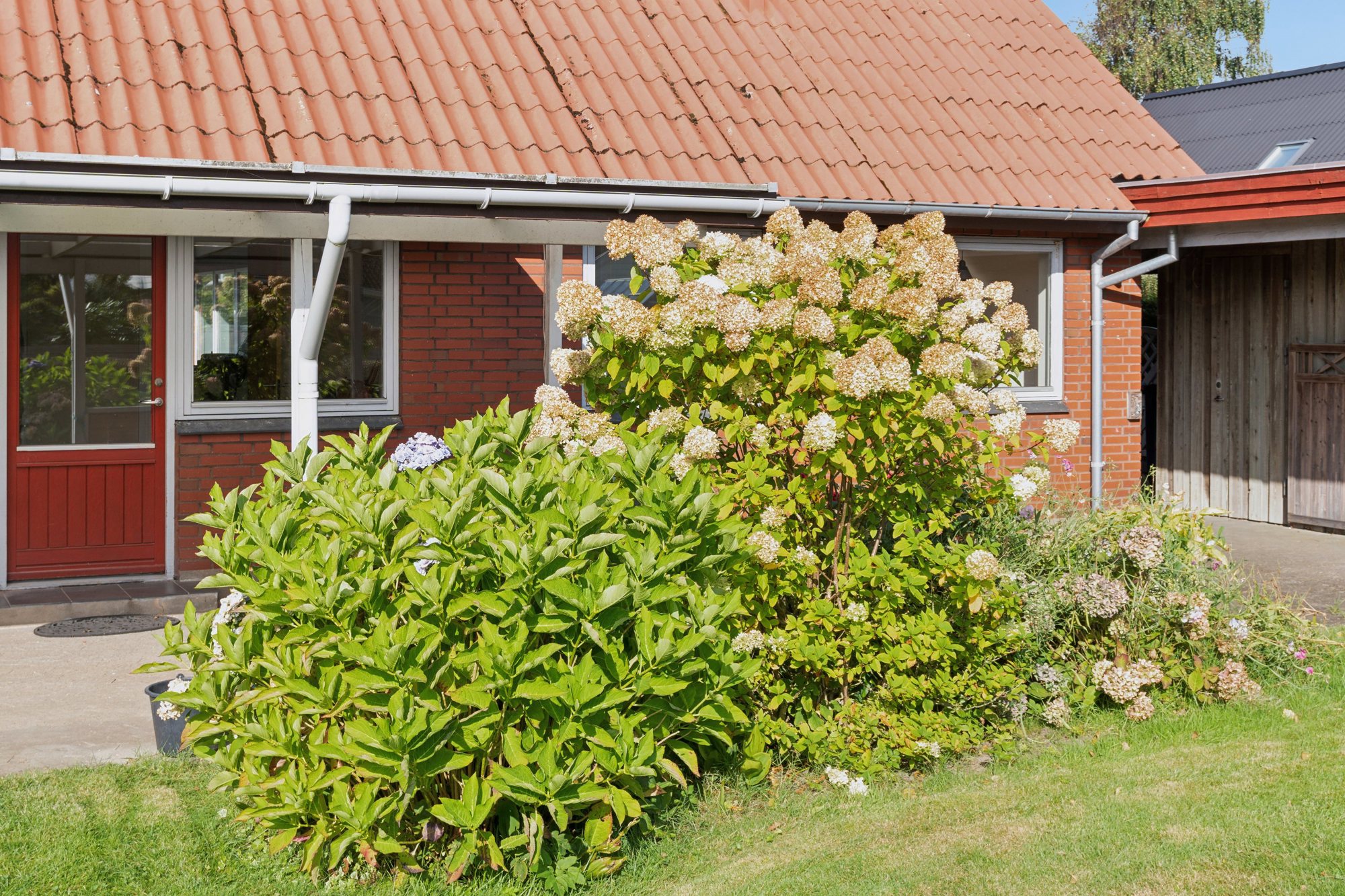 Broager 13, 6760 Ribe