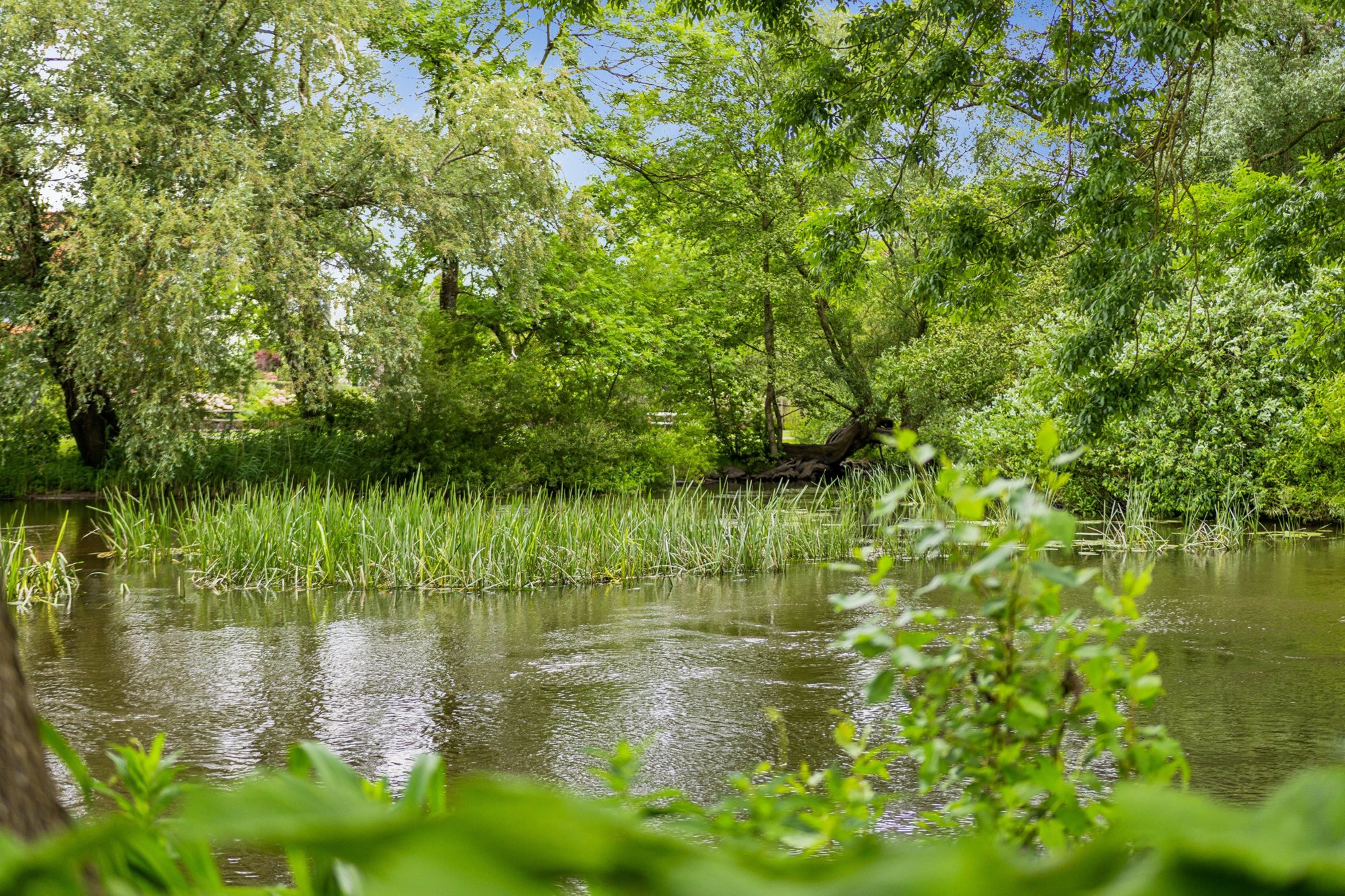 Dagmarsgade 13, st., 6760 Ribe