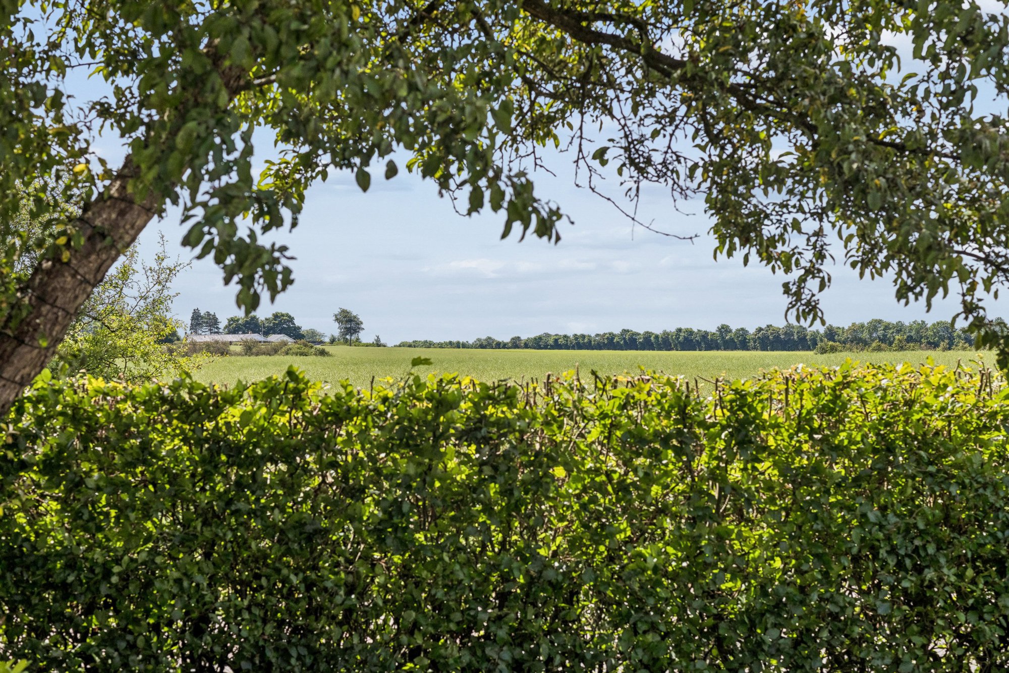 Fæstedvej 16, 6630 Rødding
